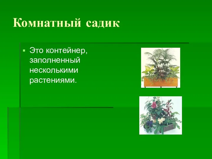 Комнатный садик Это контейнер, заполненный несколькими растениями.