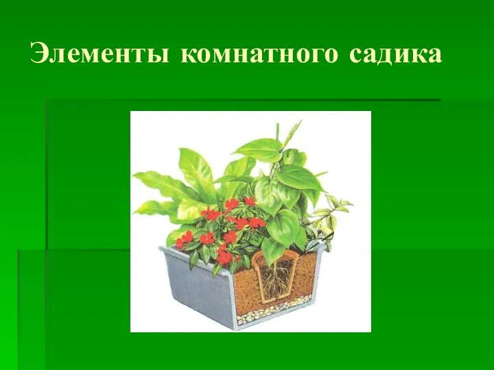 Элементы комнатного садика