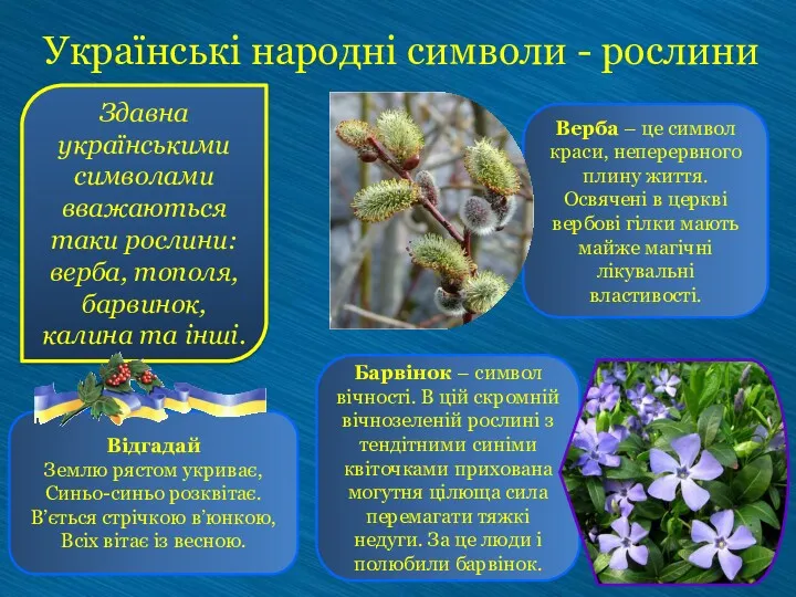 Здавна українськими символами вважаються таки рослини: верба, тополя, барвинок, калина та інші. Українські
