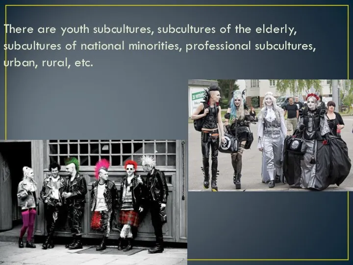 There are youth subcultures, subcultures of the elderly, subcultures of national minorities, professional