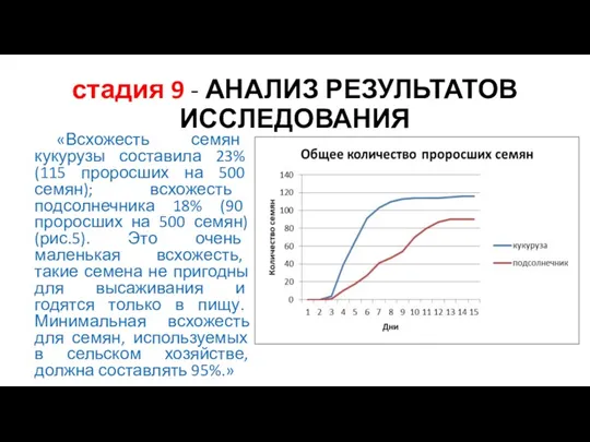 стадия 9 - АНАЛИЗ РЕЗУЛЬТАТОВ ИССЛЕДОВАНИЯ «Всхожесть семян кукурузы составила