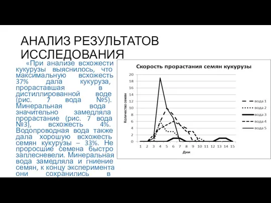 АНАЛИЗ РЕЗУЛЬТАТОВ ИССЛЕДОВАНИЯ «При анализе всхожести кукурузы выяснилось, что максимальную