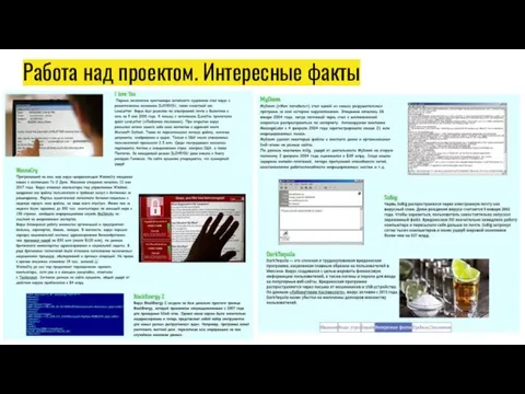 Работа над проектом. Интересные факты