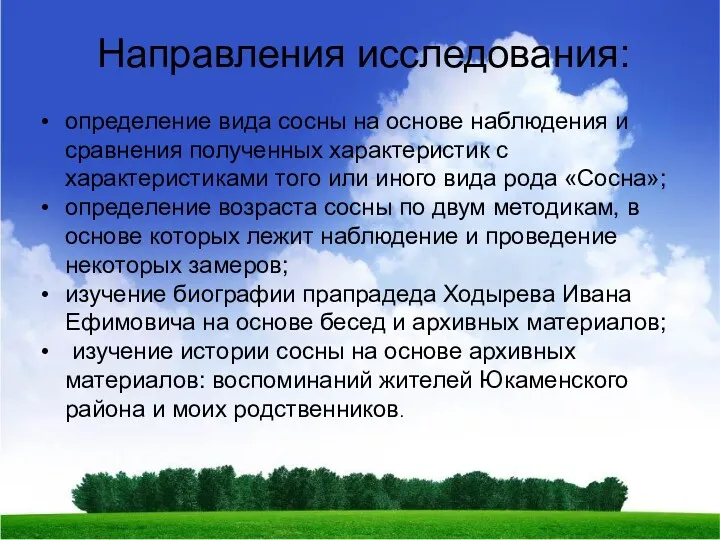 Направления исследования: определение вида сосны на основе наблюдения и сравнения