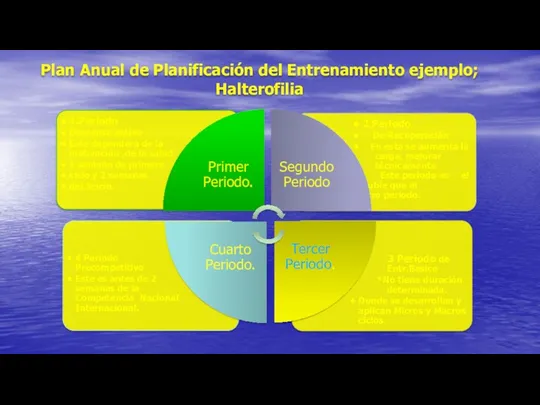 Plan Anual de Planificación del Entrenamiento ejemplo; Halterofilia