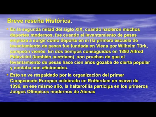 Breve reseña Histórica. En la segunda mitad del siglo XIX,