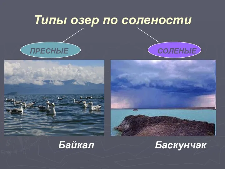 Типы озер по солености Байкал Баскунчак ПРЕСНЫЕ СОЛЕНЫЕ
