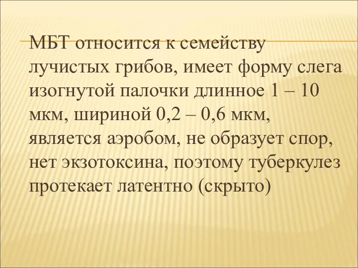 МБТ относится к семейству лучистых грибов, имеет форму слега изогнутой