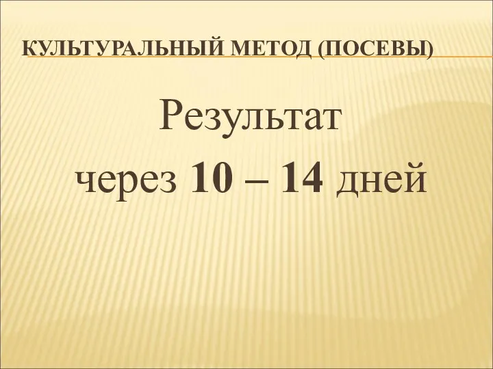 КУЛЬТУРАЛЬНЫЙ МЕТОД (ПОСЕВЫ) Результат через 10 – 14 дней