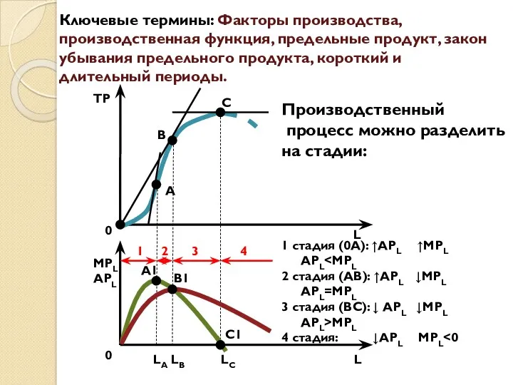 Ключевые термины: Факторы производства, производственная функция, предельные продукт, закон убывания