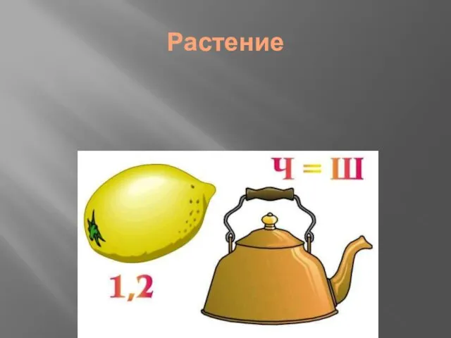 Растение