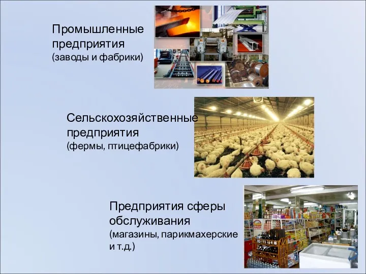 Промышленные предприятия (заводы и фабрики) Сельскохозяйственные предприятия (фермы, птицефабрики) Предприятия сферы обслуживания (магазины, парикмахерские и т.д.)