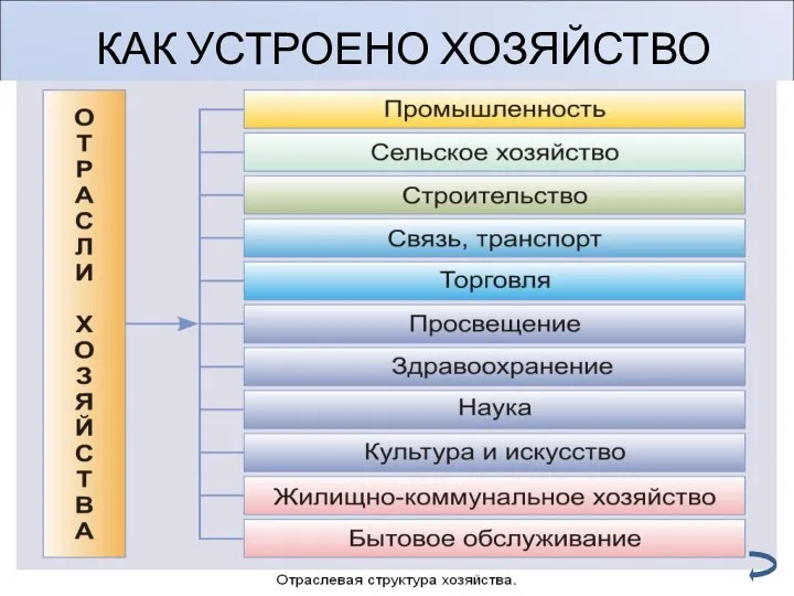 КАК УСТРОЕНО ХОЗЯЙСТВО