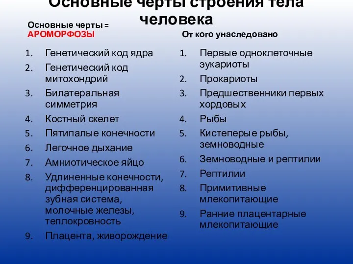 Основные черты строения тела человека Основные черты = АРОМОРФОЗЫ Генетический