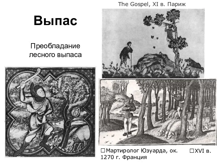 Выпас The Gospel, XI в. Париж XVI в. Преобладание лесного