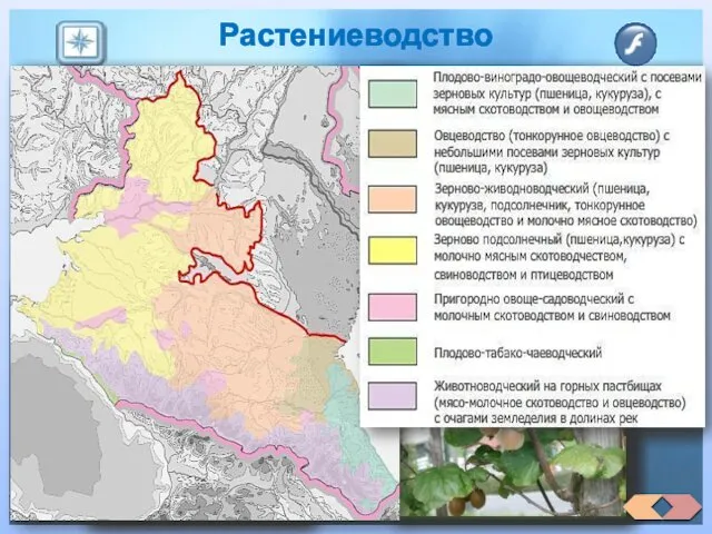 Растениеводство Район лиди­рует в России по площади посевов озимой пшеницы,