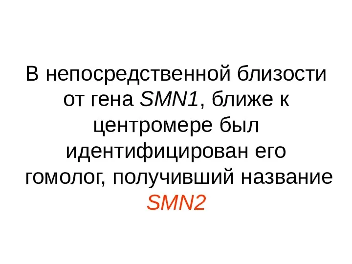 В непосредственной близости от гена SMN1, ближе к центромере был идентифицирован его гомолог, получивший название SMN2