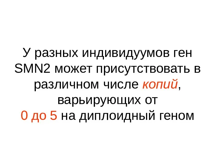 У разных индивидуумов ген SMN2 может присутствовать в различном числе