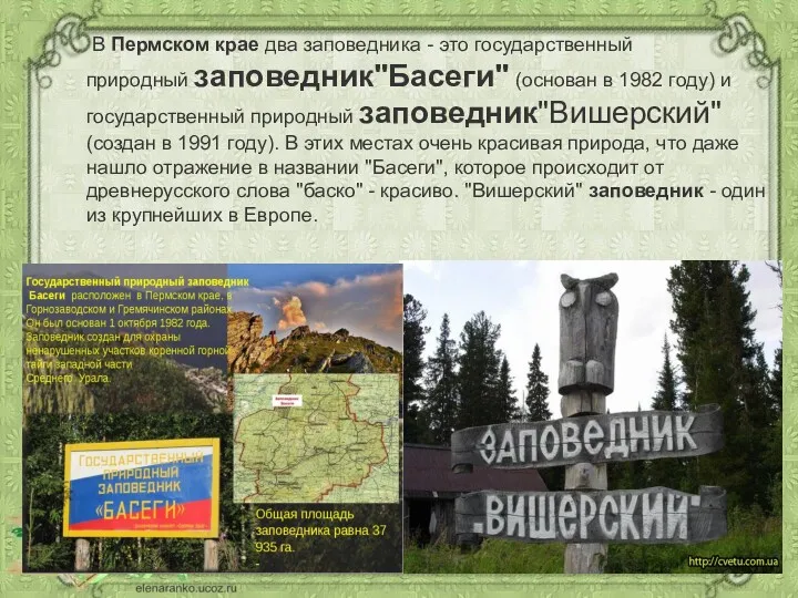 В Пермском крае два заповедника - это государственный природный заповедник"Басеги" (основан в 1982