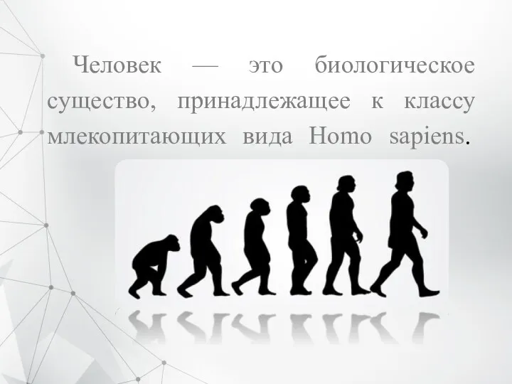 Человек — это биологическое существо, принадлежащее к классу млекопитающих вида Homo sapiens.