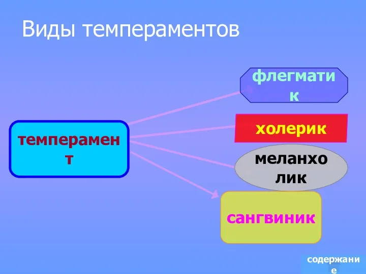 Виды темпераментов содержание темперамент флегматик меланхолик холерик сангвиник