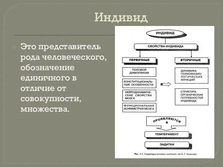 Индивид Это представитель рода человеческого, обозначение единичного в отличие от совокупности, множества.