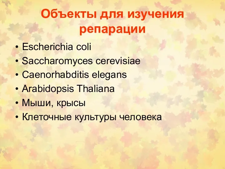 Объекты для изучения репарации Escherichia coli Saccharomyces cerevisiae Caenorhabditis elegans