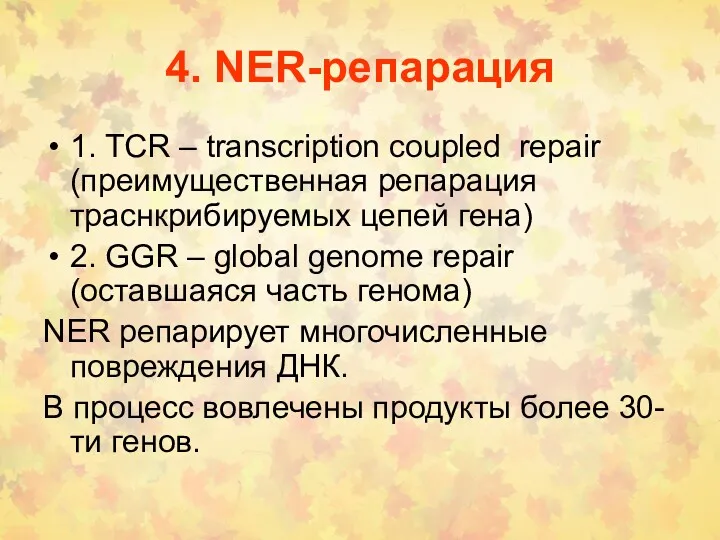 4. NER-репарация 1. TCR – transcription coupled repair (преимущественная репарация