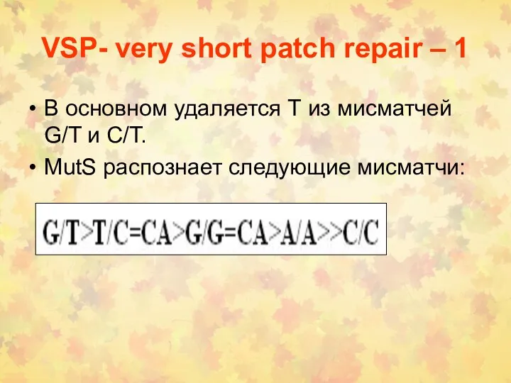 VSP- very short patch repair – 1 В основном удаляется