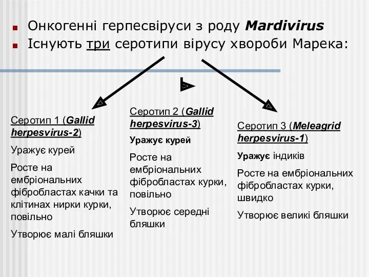 Онкогенні герпесвіруси з роду Mardivirus Існують три серотипи вірусу хвороби