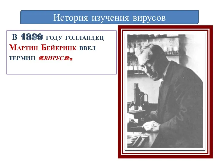 В 1899 году голландец Мартин Бейеринк ввел термин «вирус». История изучения вирусов