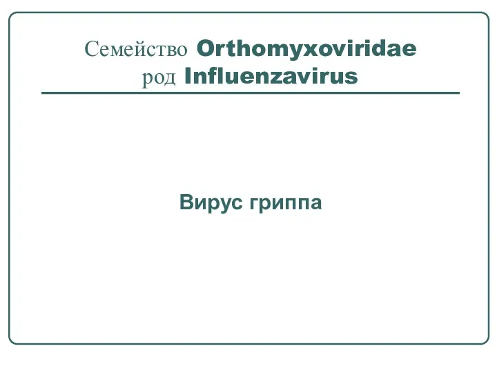Семейство Orthomyxoviridae род Influenzavirus Вирус гриппа