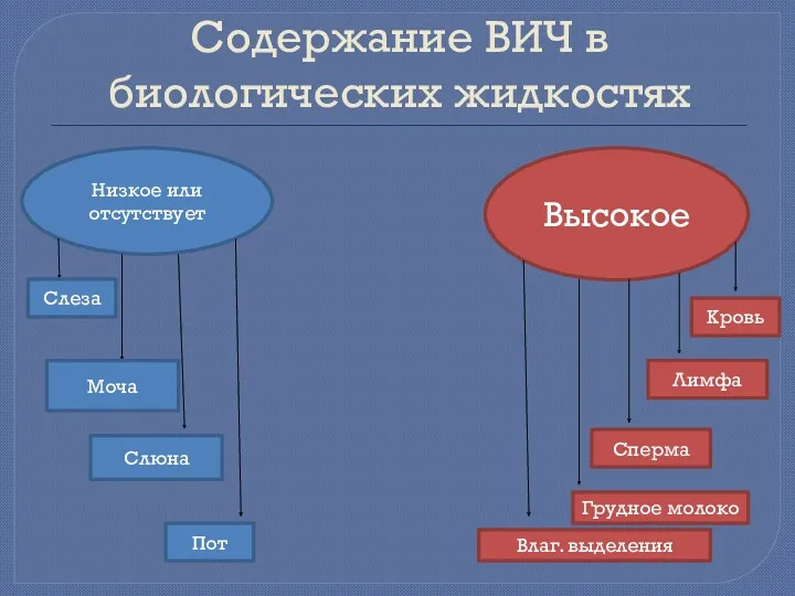 Содержание ВИЧ в биологических жидкостях Низкое или отсутствует Высокое Слеза