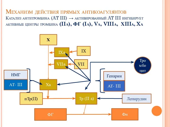 Механизм действия прямых антикоагулянтов Катализ антитромбина (AT III) → активированный