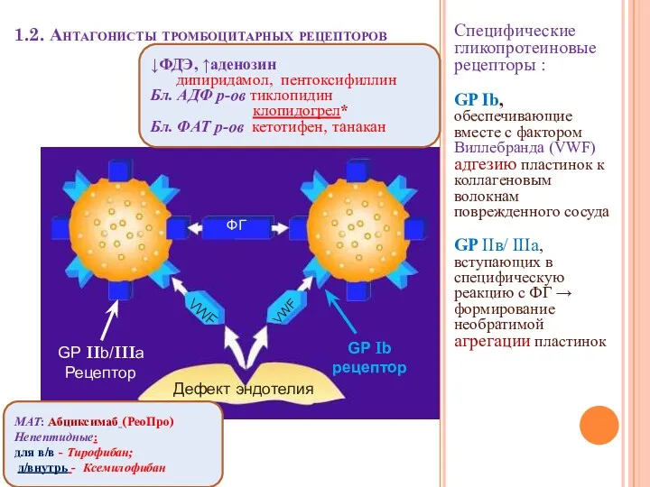 1.2. Антагонисты тромбоцитарных рецепторов Специфические гликопротеиновые рецепторы : GP Ib,