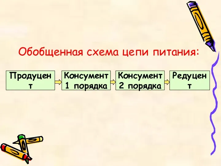 Обобщенная схема цепи питания: Продуцент Консумент 1 порядка Консумент 2 порядка Редуцент