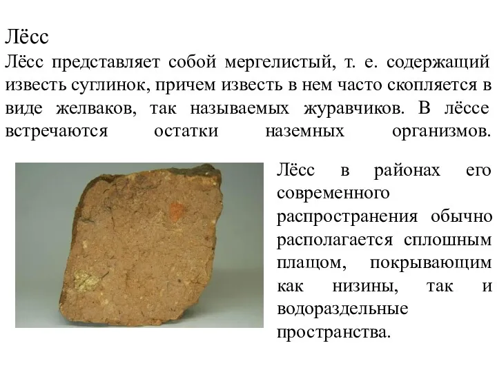 Лёсс Лёсс представляет собой мергелистый, т. е. содержащий известь суглинок,