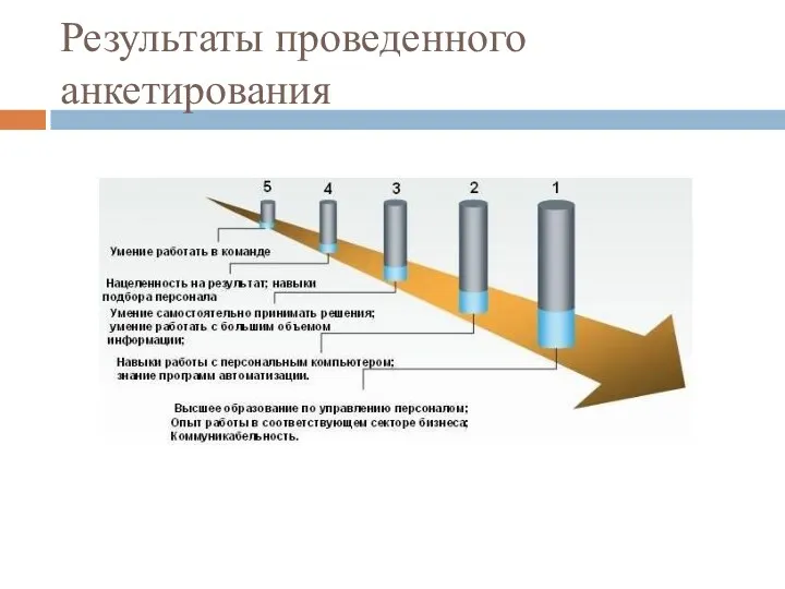 Результаты проведенного анкетирования