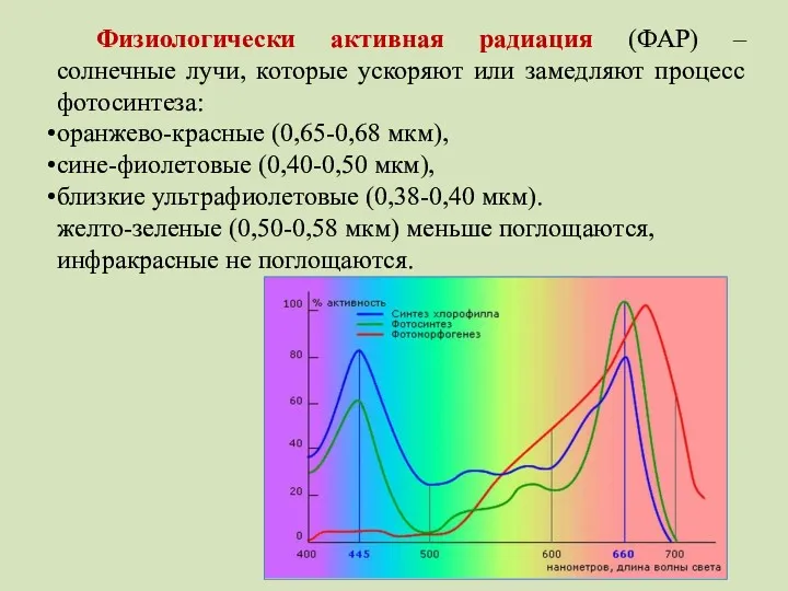 Физиологически активная радиация (ФАР) – солнечные лучи, которые ускоряют или