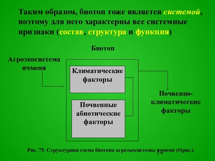 Pис. 75. Структурная схема биотопа агроэкосистемы ячменя (Оpиг.). Агроэкосистема ячменя