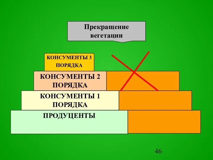 ПРОДУЦЕНТЫ КОНСУМЕНТЫ 1 ПОРЯДКА КОНСУМЕНТЫ 2 ПОРЯДКА КОНСУМЕНТЫ 3 ПОРЯДКА Прекращение вегетации