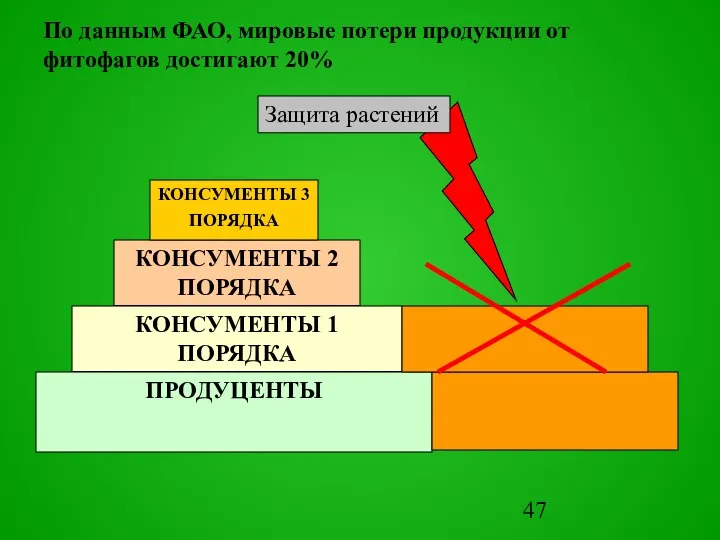 ПРОДУЦЕНТЫ КОНСУМЕНТЫ 1 ПОРЯДКА КОНСУМЕНТЫ 2 ПОРЯДКА КОНСУМЕНТЫ 3 ПОРЯДКА