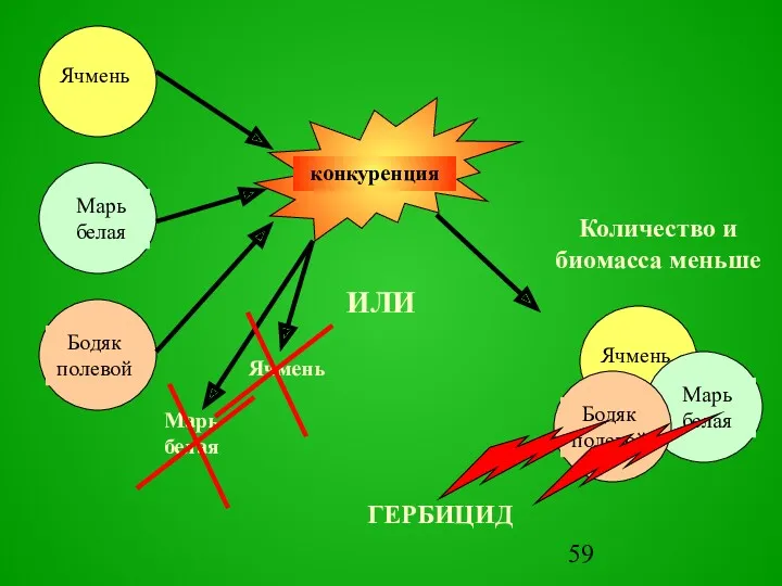 ИЛИ Количество и биомасса меньше