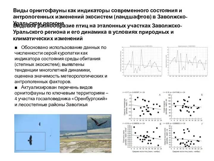 ■ Обосновано использование данных по численности серой куропатки как индикатора состояния среды обитания