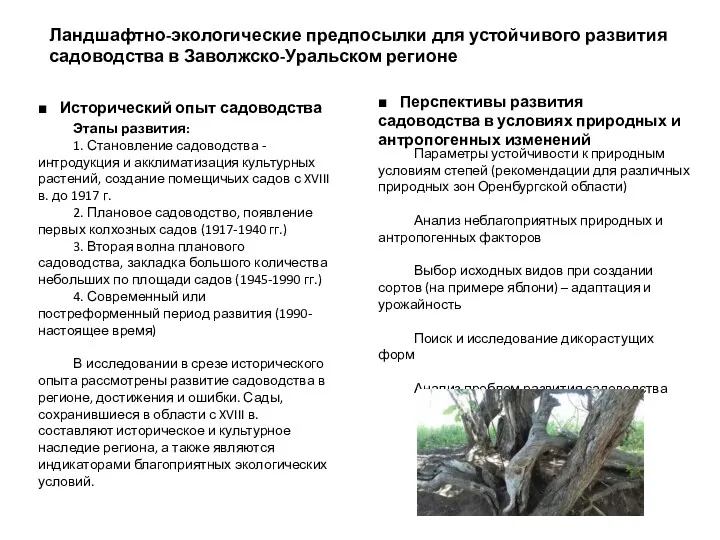 Параметры устойчивости к природным условиям степей (рекомендации для различных природных зон Оренбургской области)