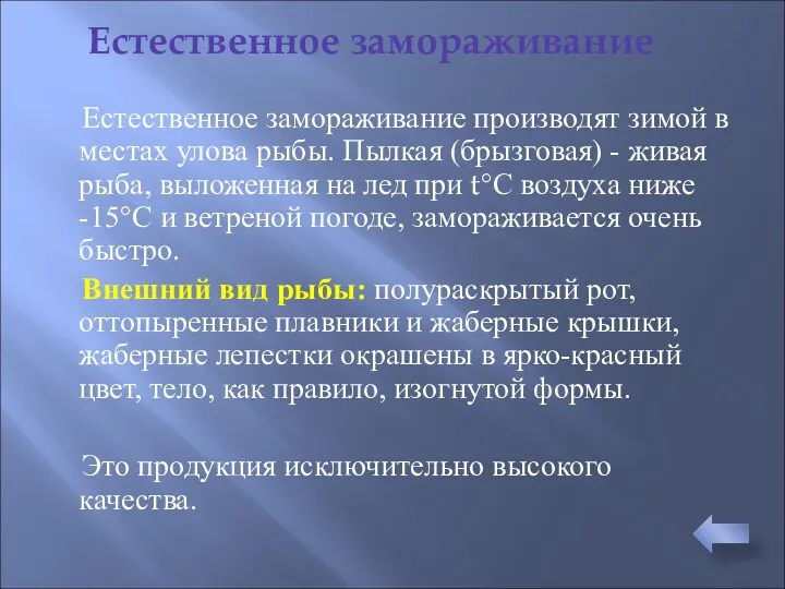 Естественное замораживание производят зимой в местах улова рыбы. Пылкая (брызговая)