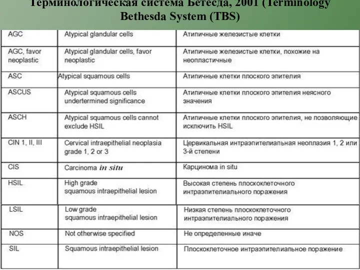 Терминологическая система Бетесда, 2001 (Terminology Bethesda System (TBS)