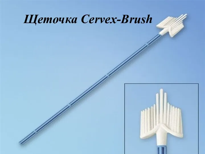 Щеточка Cervex-Brush