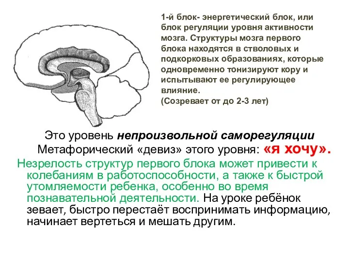 Это уровень непроизвольной саморегуляции Метафорический «девиз» этого уровня: «я хочу».