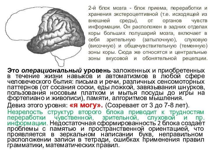 Это операциональный уровень заложенных и приобретенных в течение жизни навыков